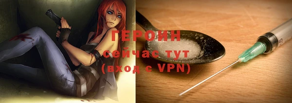 соль ск Дмитриев