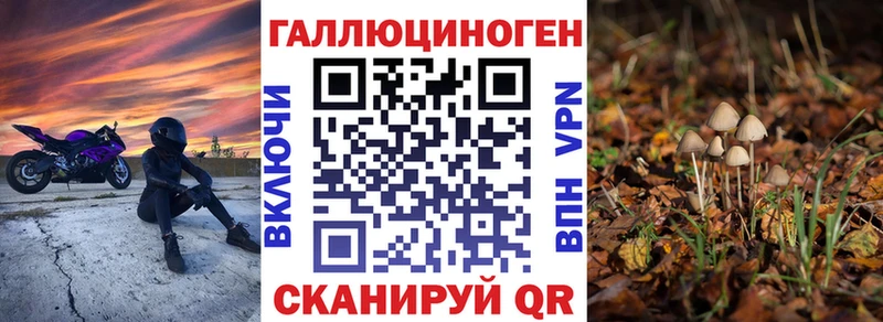 Псилоцибиновые грибы прущие грибы  Купить закладки  Ростов 